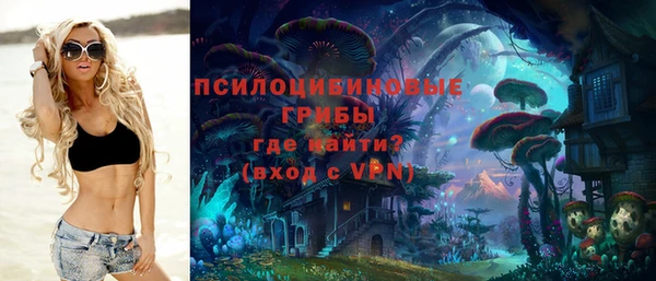 прущая мука Абаза