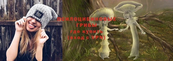 прущая мука Абаза