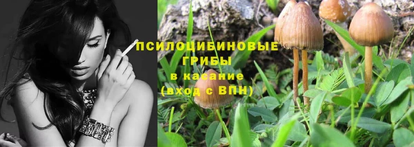 прущая мука Абаза
