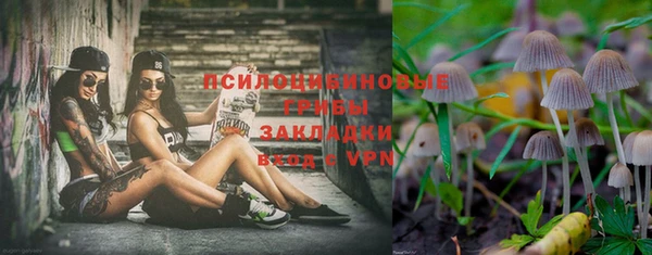 прущая мука Абаза